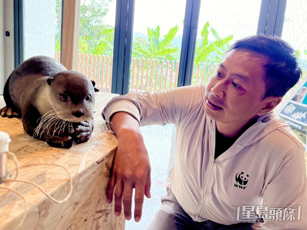 陳輩樂是國際水獺專家，盼當局於制訂工程階段時與保育團體多作交流溝通。