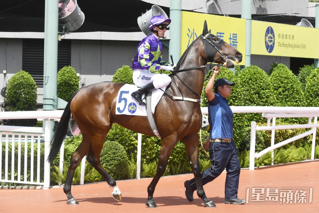 「八里旺」前仗在谷草千二米后上跑第三。