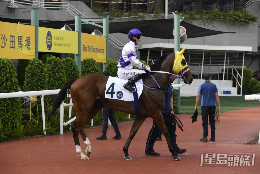「香飄萬里」可期演出續進，有機會贏回一場頭馬。