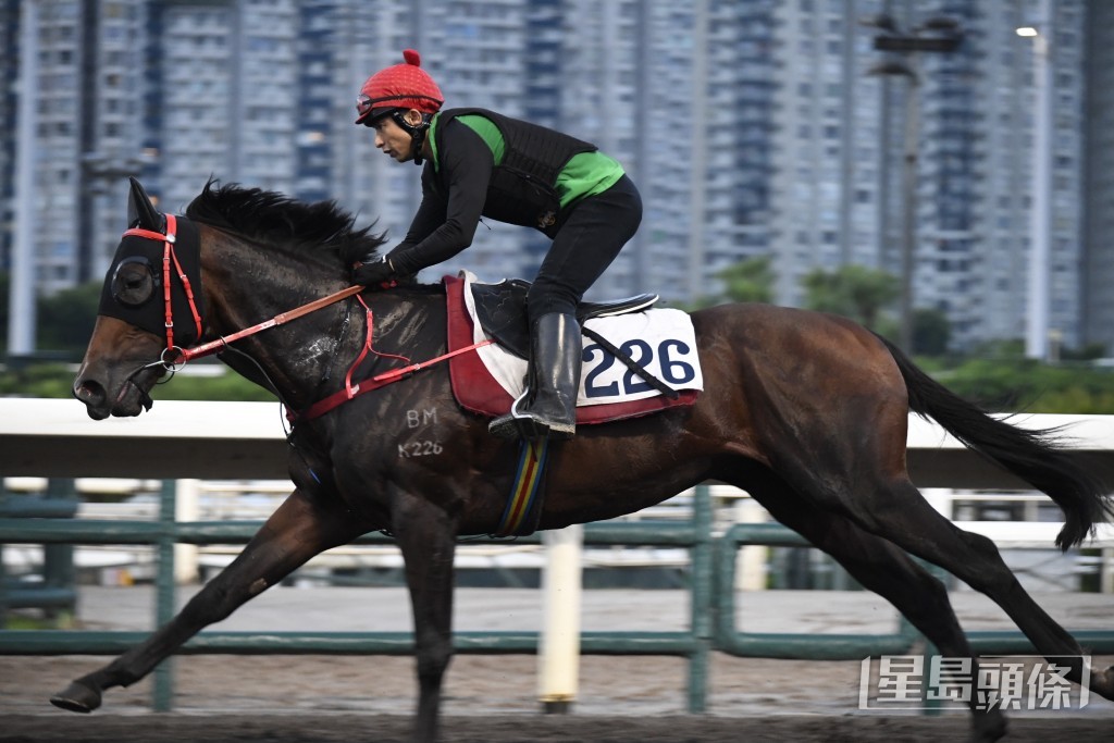 「龍文鞭影」走勢硬朗步挺開揚，馬身更壯神態活躍。