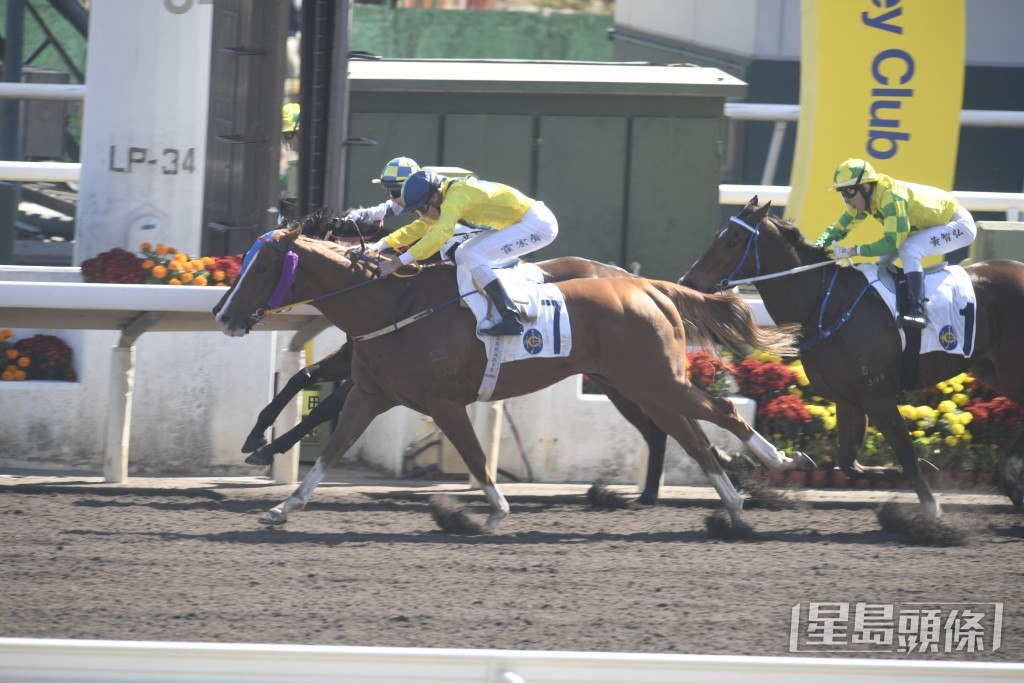 「逆市奇爸」今季曾在霍宏聲胯下取得兩冠一亞。