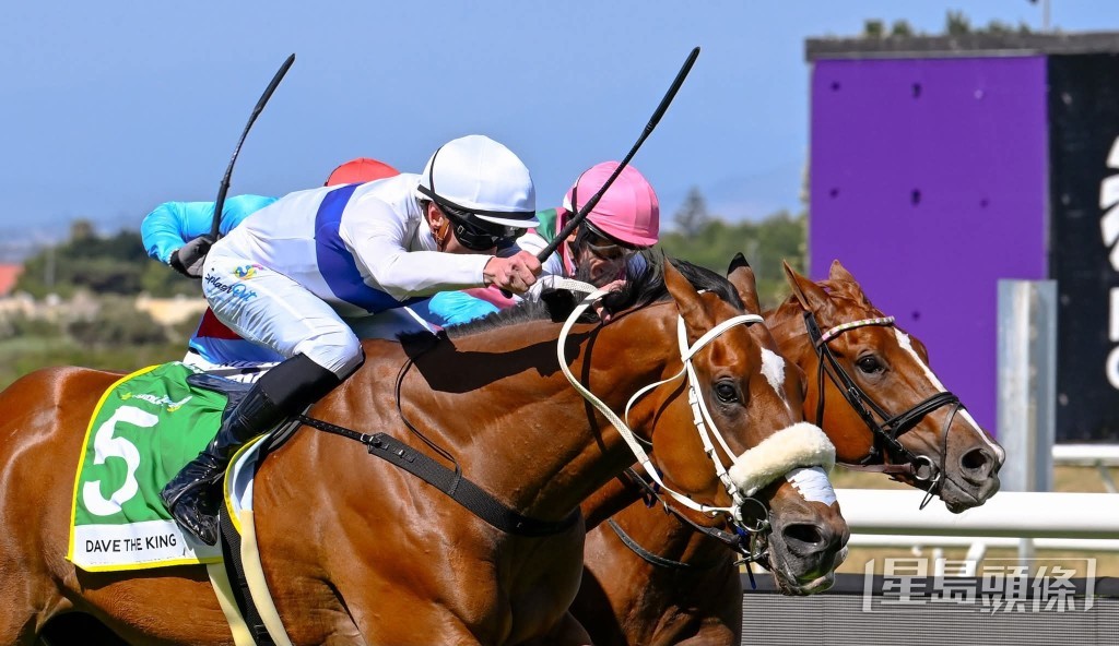 戴夫大王 戴夫大王