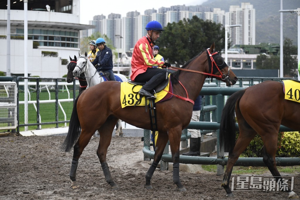 「健康快車」今次再跑同程，對手實力相若，有力贏馬而回。