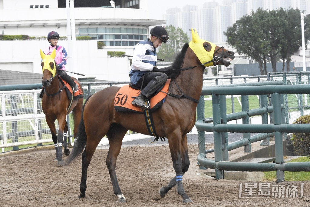 「快乐神驹」竞逐第五场四班千二米。