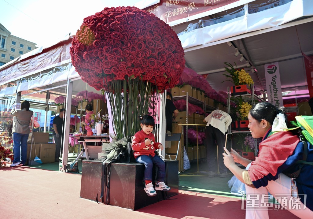 開鑼首日天朗氣清，氣溫回暖，吸引大批市民到維園年宵辦年貨、買年花。