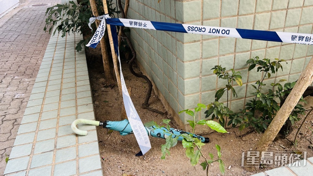 花槽遺下一柄雨傘。