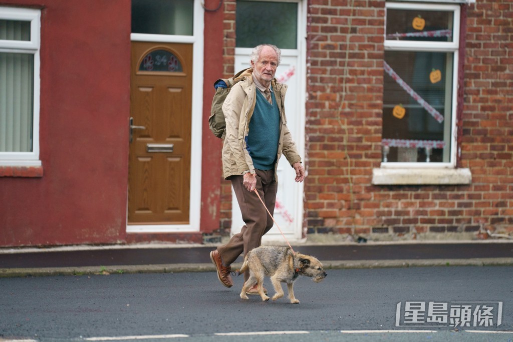 Harold遇到流浪狗，一人一狗互相扶持。