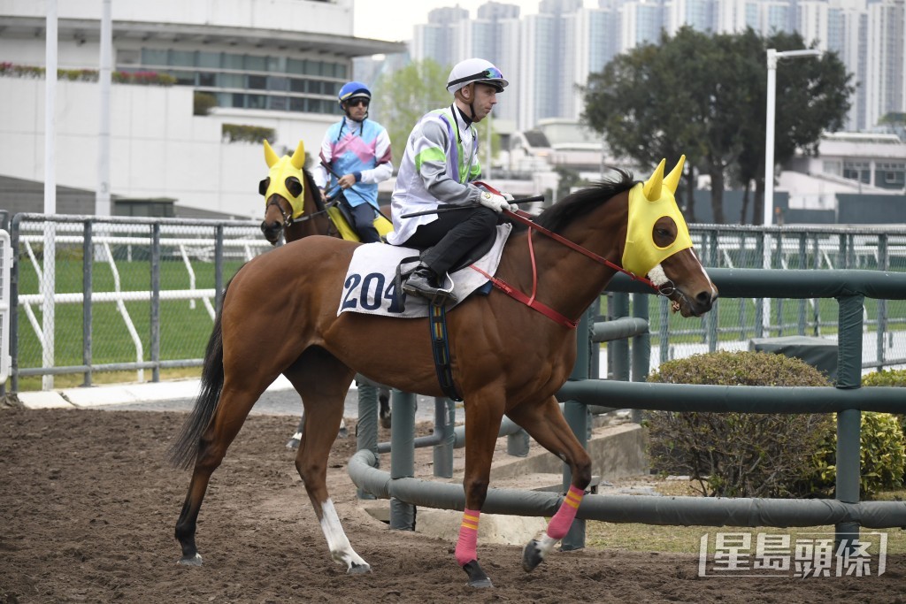 「光年程祥」馬身好壯毛色亮麗，前所未見吸引。