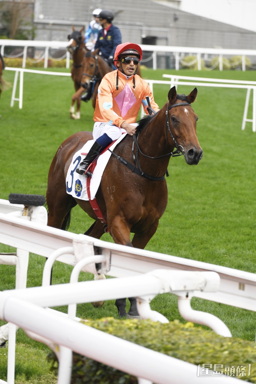 「伶俐驫駒」季內已取得三冠五亞。