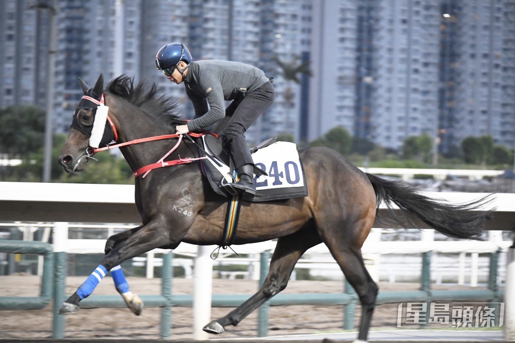 「凱旋王者」清風送爽完成，走勢爽勁有力。