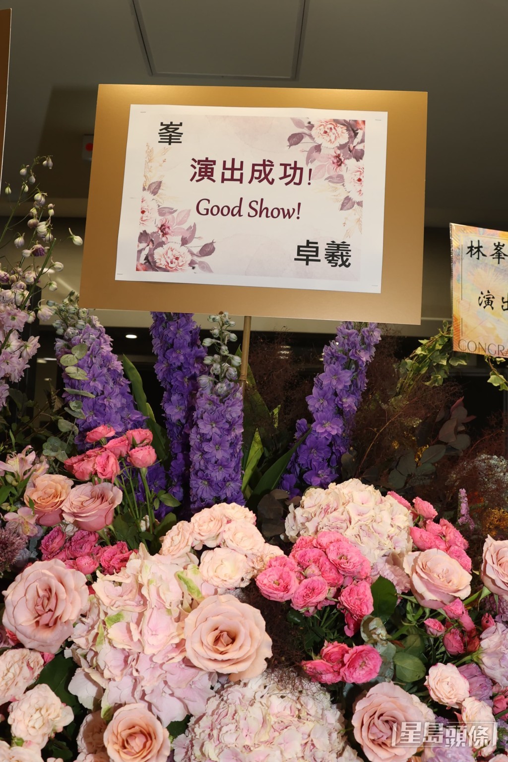 吳卓羲 吳卓羲