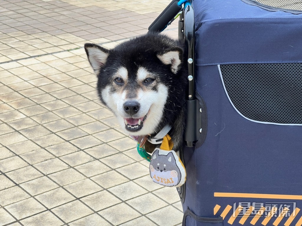 曹露尹攝 曹露尹攝