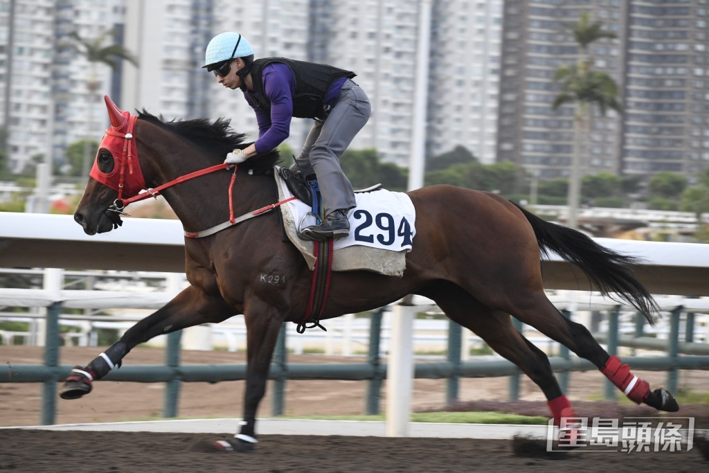 「亨驥」火氣展現狀態出色。