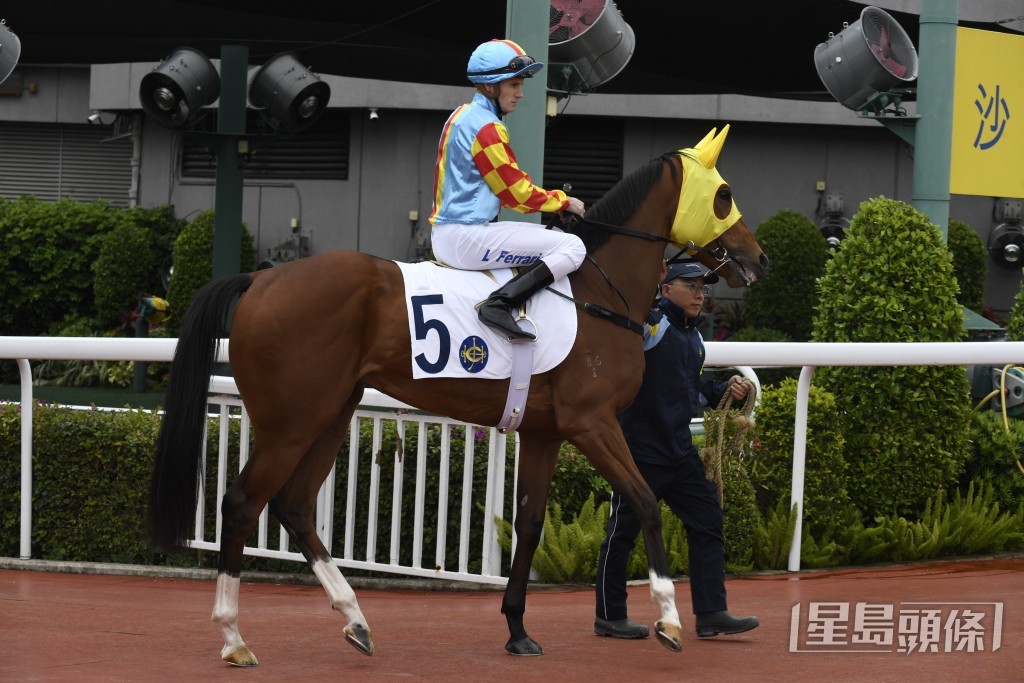 「妙算奇勝」今次再跑同程，賽前準備仍足。