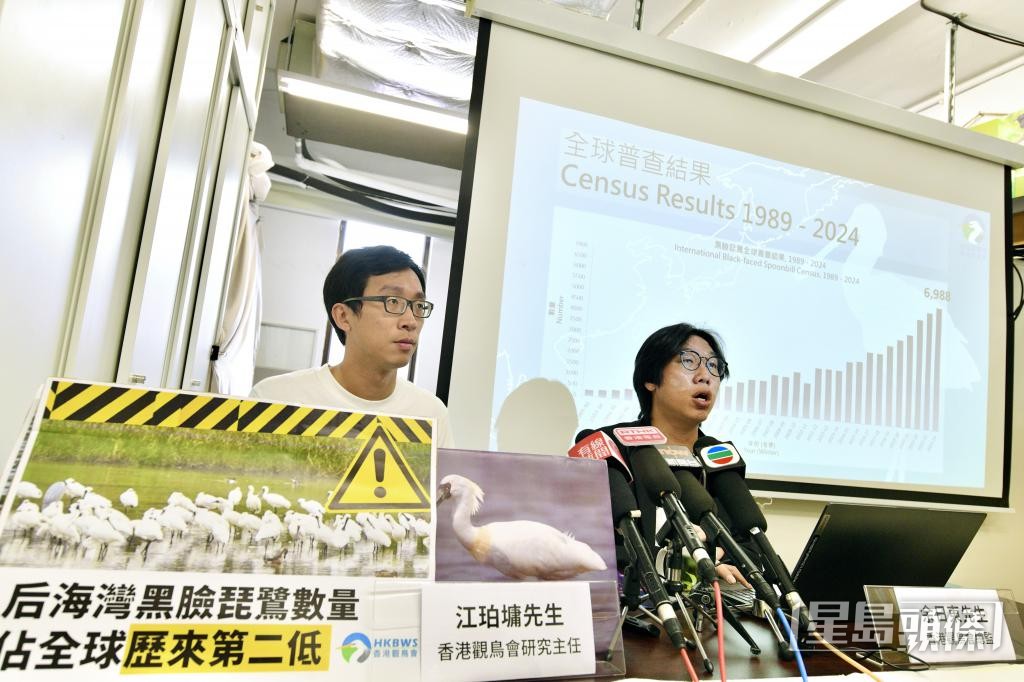 江珀墉現時亦參與統籌全球黑瞼琵鷺的年度普查。