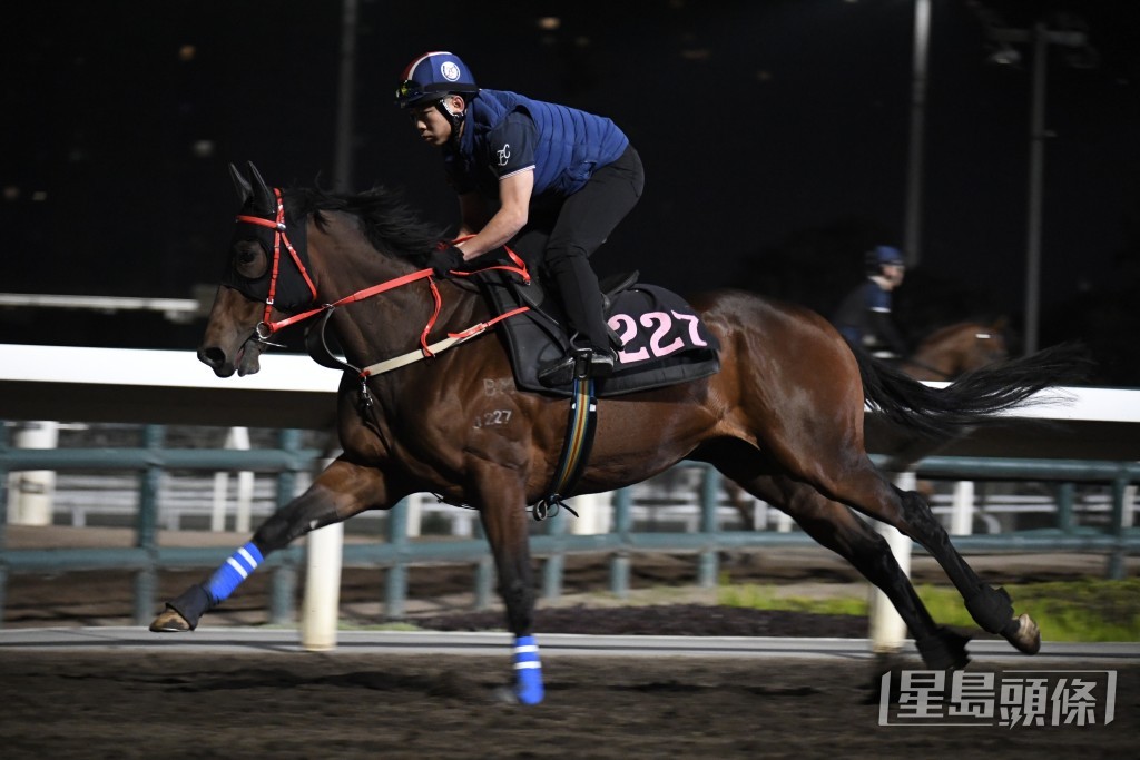 「追風」走勢硬朗勁度夠，上佳水準。
