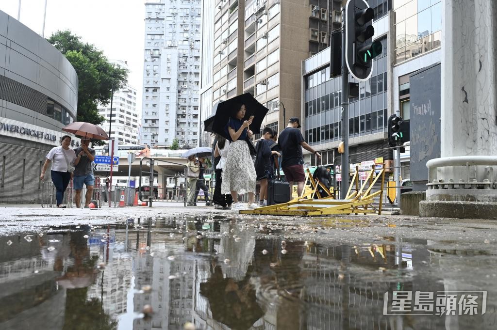 有學者指出,白紋伊蚊最適合成長的溫度約為30°C左右,與本港夏季的溫度接近。 中新社 有學者指出,白紋伊蚊最適合成長的溫度約為30°C左右,與本港夏季的溫度接近。 中新社