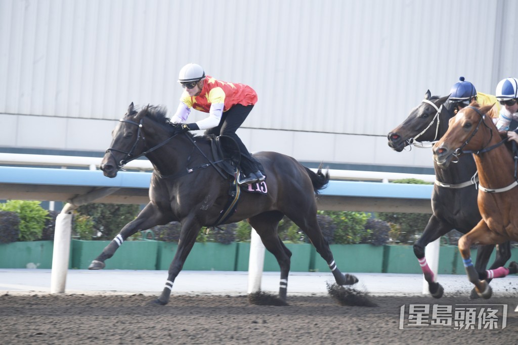 「快樂老撾」步順開揚有力，火氣又好蓄勢待發。