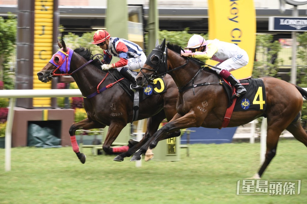 「辣得駕勢」狀態正勇，今仗有望乘旺勢再贏一場。