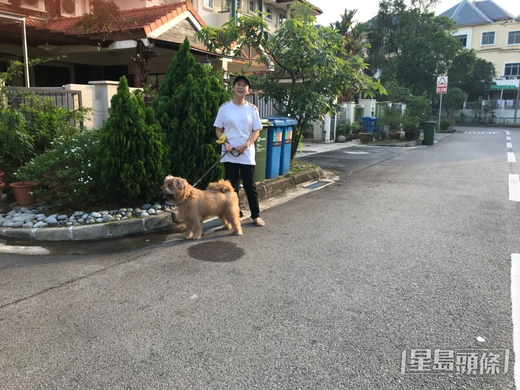 咪咪姐每天傍晚饭后放狗。