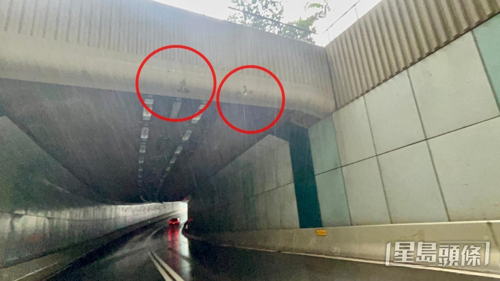 隧道頂部小量石屎崩碎。楊偉亨攝 隧道頂部小量石屎崩碎。楊偉亨攝