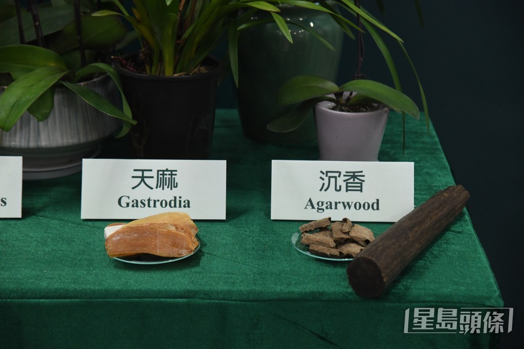 天麻、沉香均屬收管制產品。 天麻、沉香均屬收管制產品。