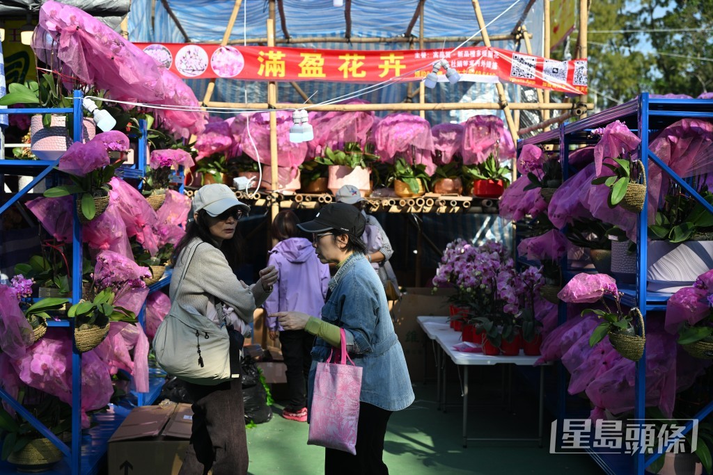 不少攤檔前有人流聚集，氣氛熱鬧。