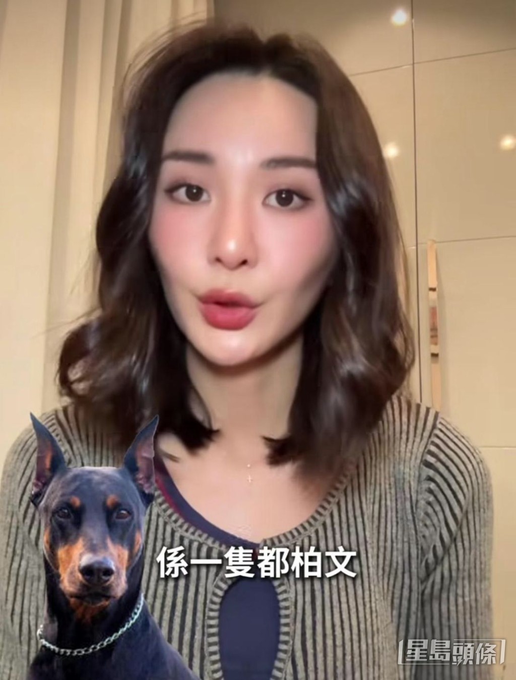 之前裕美拍片怒斥有疑似繁殖狗場,為美觀殘忍剪耳縫合兩個月大黑色都柏文犬以致身亡。 之前裕美拍片怒斥有疑似繁殖狗場,為美觀殘忍剪耳縫合兩個月大黑色都柏文犬以致身亡。
