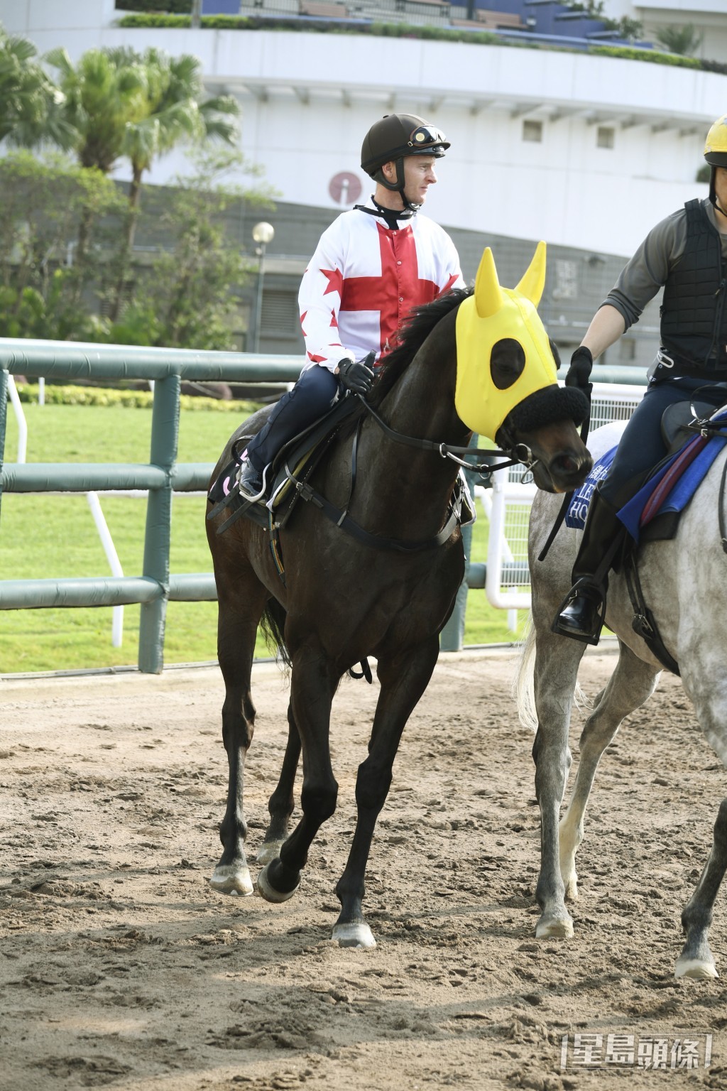 「坚闯」今次续配潘顿上阵，出战第三场四班一六五○米赛事。