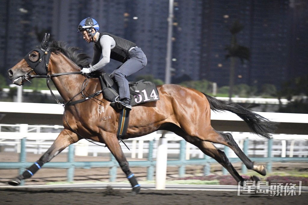 「劲沙尘」火气有增无减，弗到不得了。