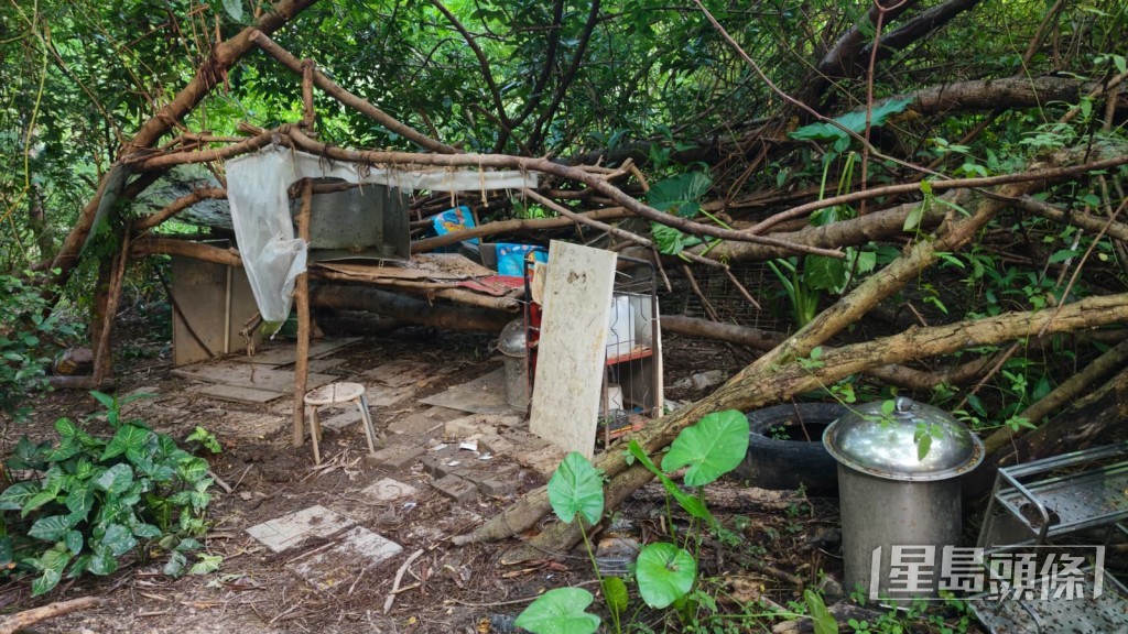 近日連續兩個月發生「狗咬死人」事件，引起社會關注。資料圖片