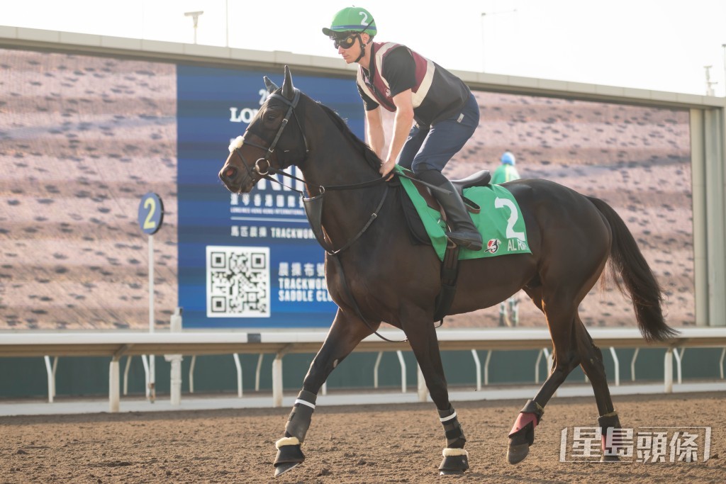 「班霸實力」在沙田輕舒腳頭。 「班霸實力」在沙田輕舒腳頭。