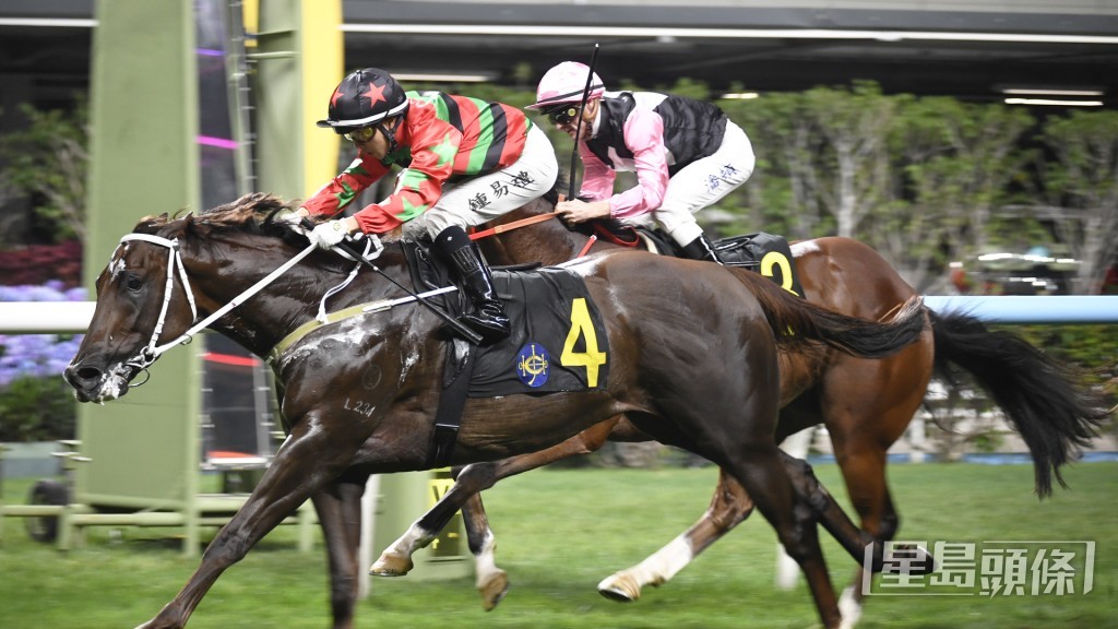 「美麗登場」（後）上場初出競逐谷草一千米，只能屈居第二名。
