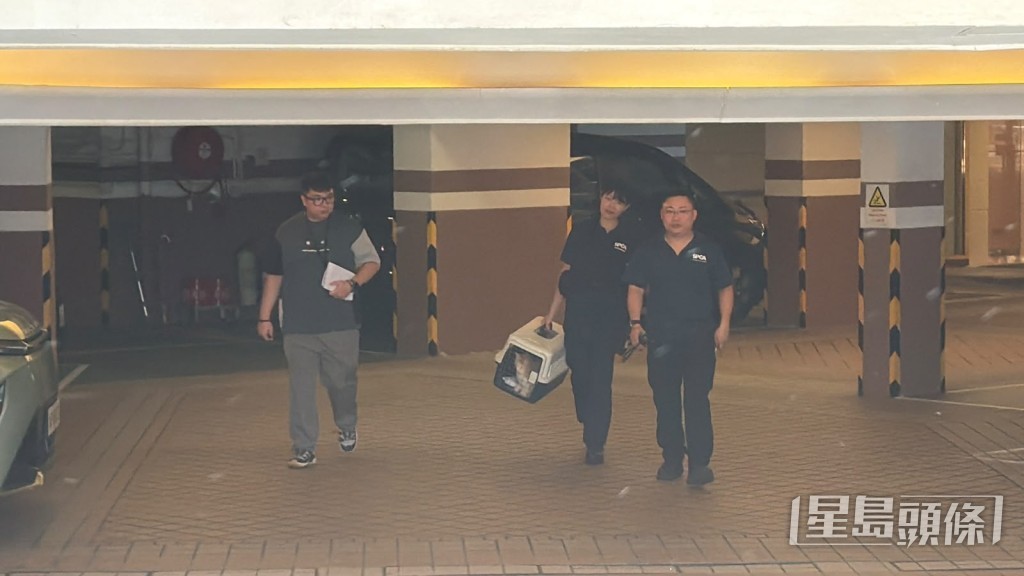 愛協人員到場。劉漢權攝 愛協人員到場。劉漢權攝