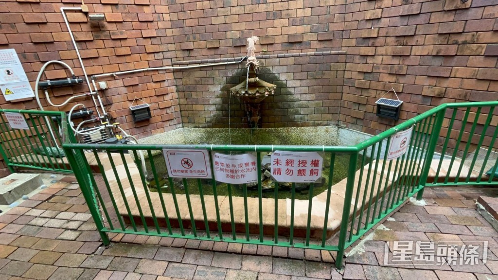 水池有圍欄圍起。楊偉亨攝