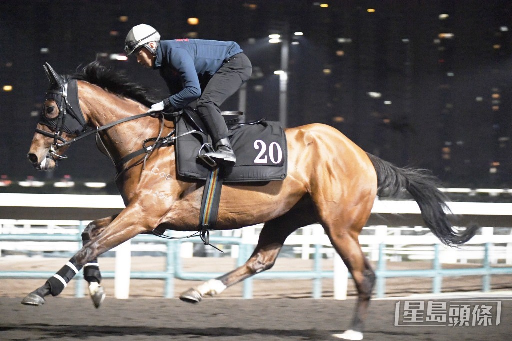 「跑得好快」落腳整齊有力，馬身做得好靚。
