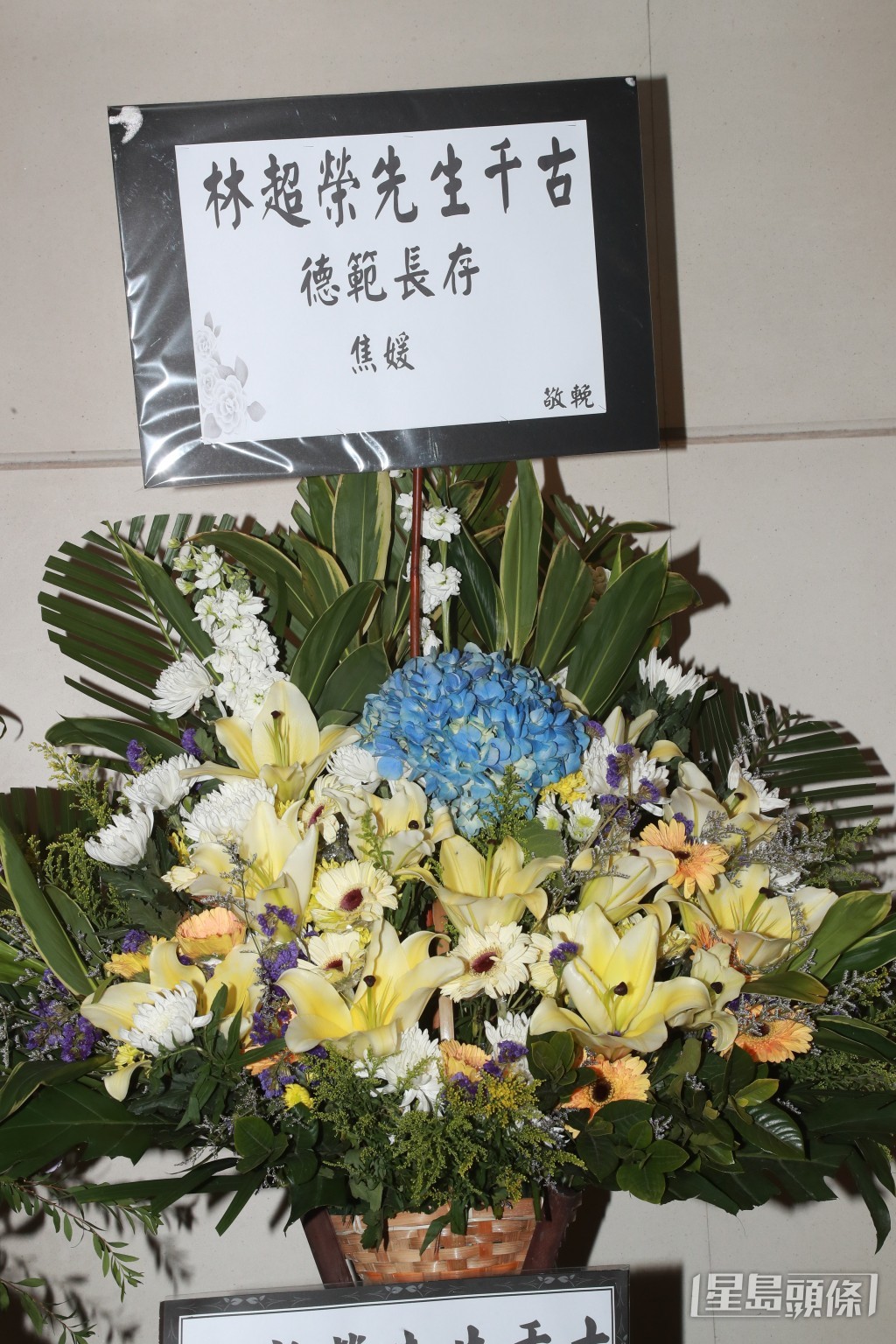 焦媛
