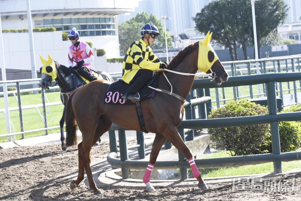 「得道猴王」落脚点地无声，今季最弗一次。