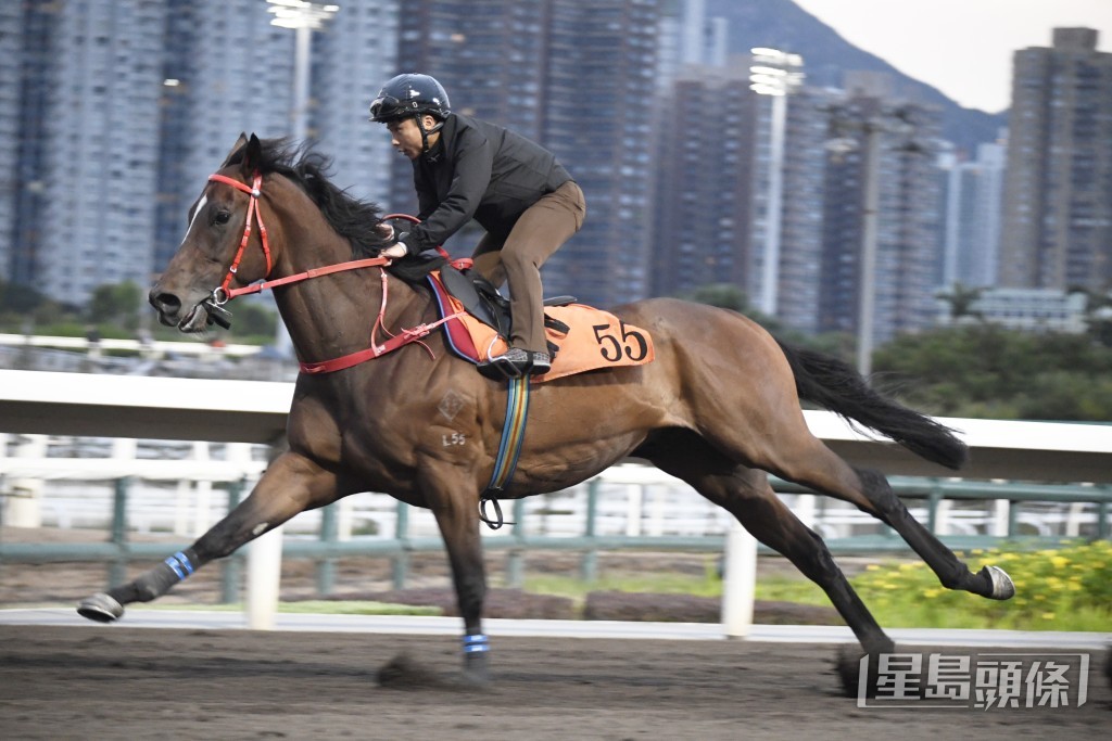 「志善思源」今场是在港首战，可能要先累积多些竞赛经验。