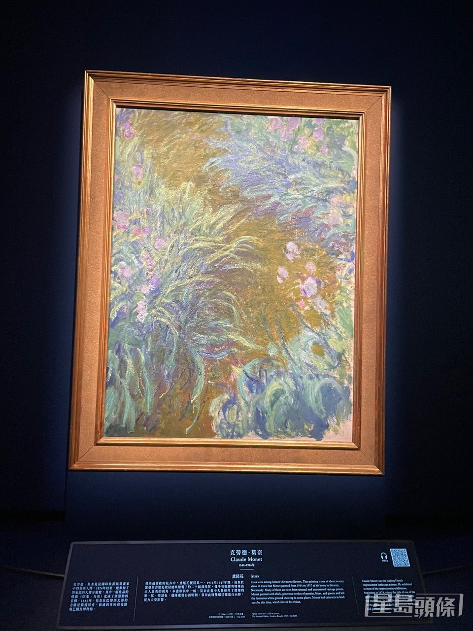 莫奈的《鳶尾花》。蔡思宇攝