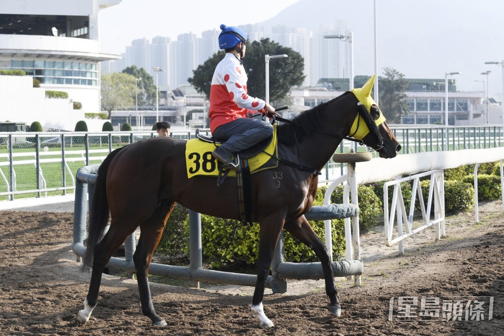 「同寶寶」今仗有力贏馬出頭。