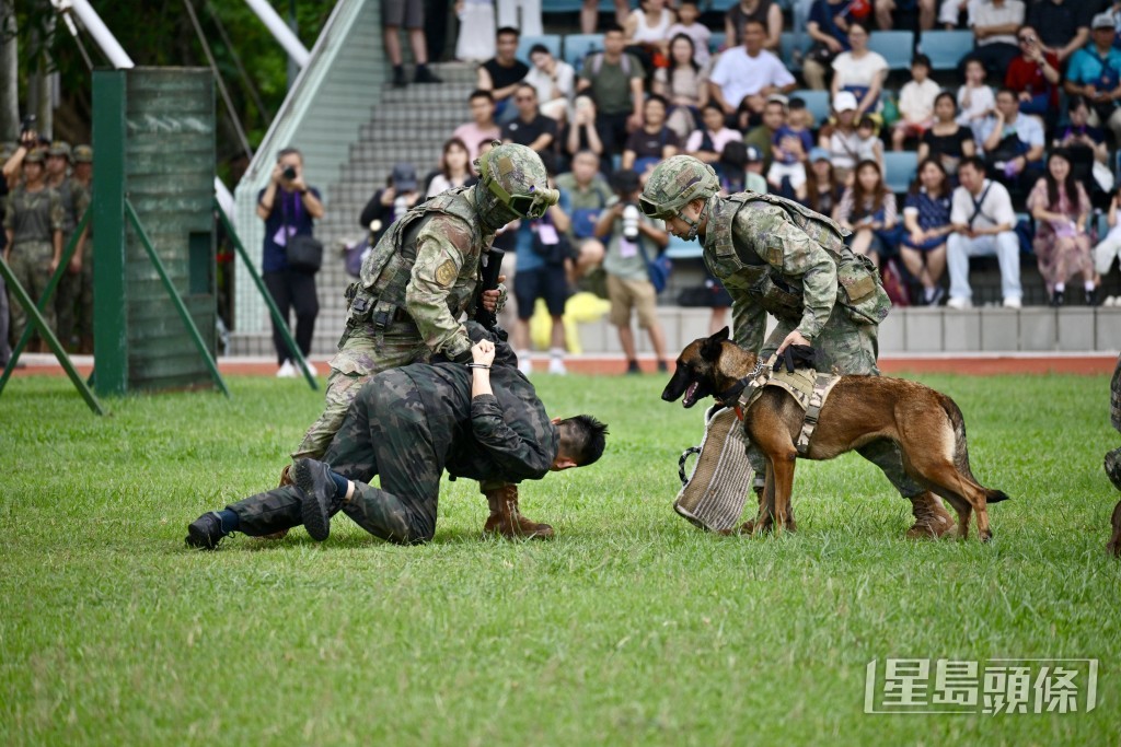 特戰隊員荷槍實彈射擊目標,展開清剿抓捕行動。 特戰隊員荷槍實彈射擊目標,展開清剿抓捕行動。