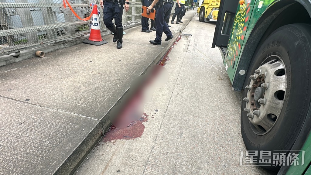 路旁遺下一條血路。 路旁遺下一條血路。