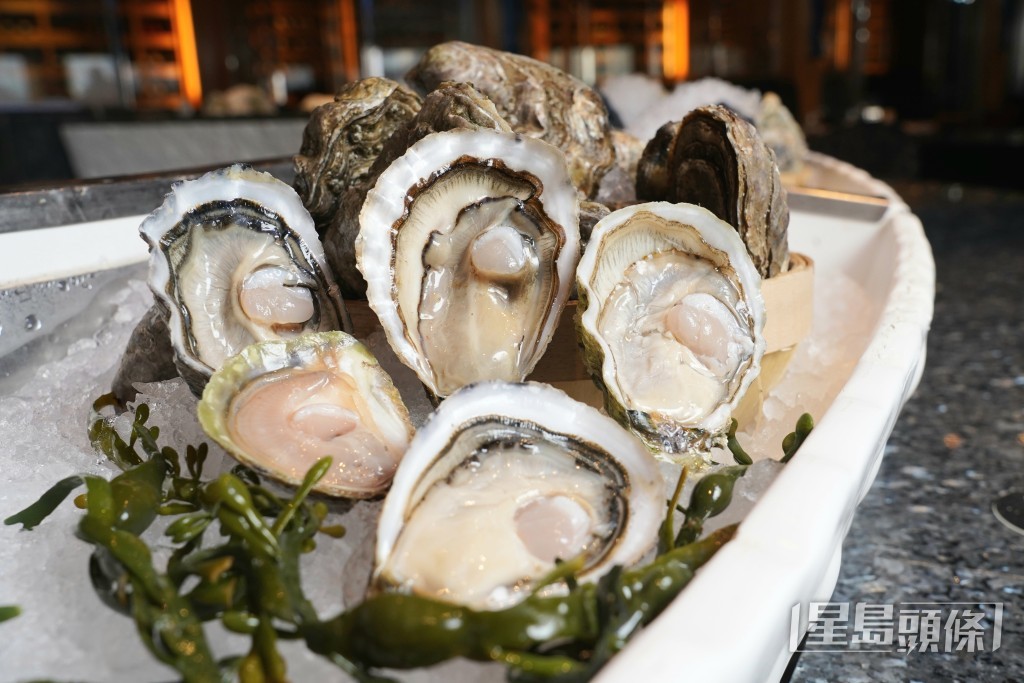 生蠔刺身專門店負責人羅先生指近期出事的生蠔主要是來自韓國。資料圖片