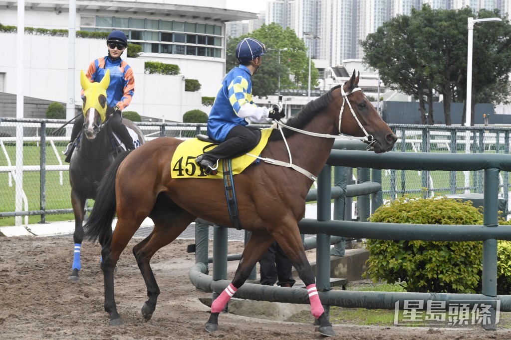 「开心勇驹」力度充足暗火涌现，确认元神归位。