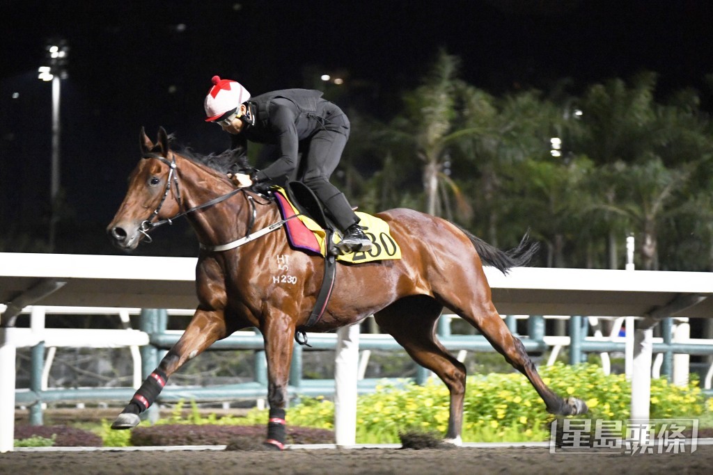「大數據」跨步開揚力度不俗，精神奕奕全面回勇。