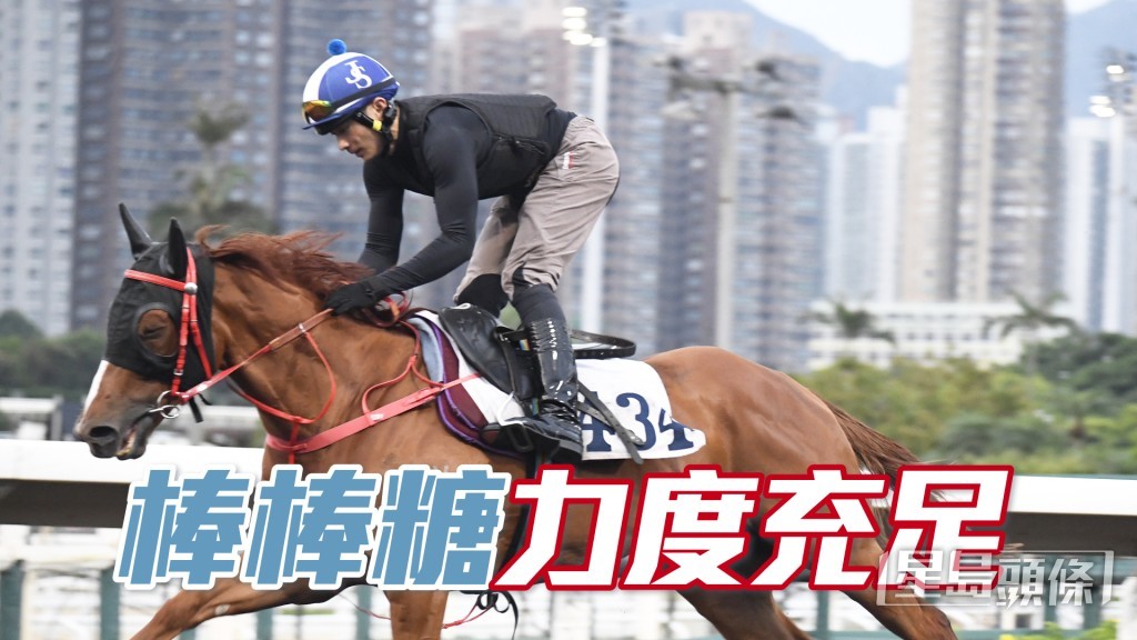 「福星小子」步挺力勁身又夠壯，銳氣正盛。