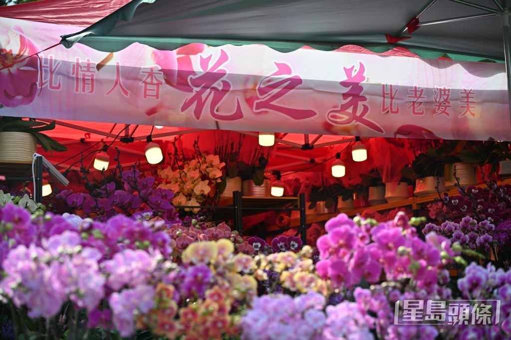 有花档档主表示，今年气氛不俗。