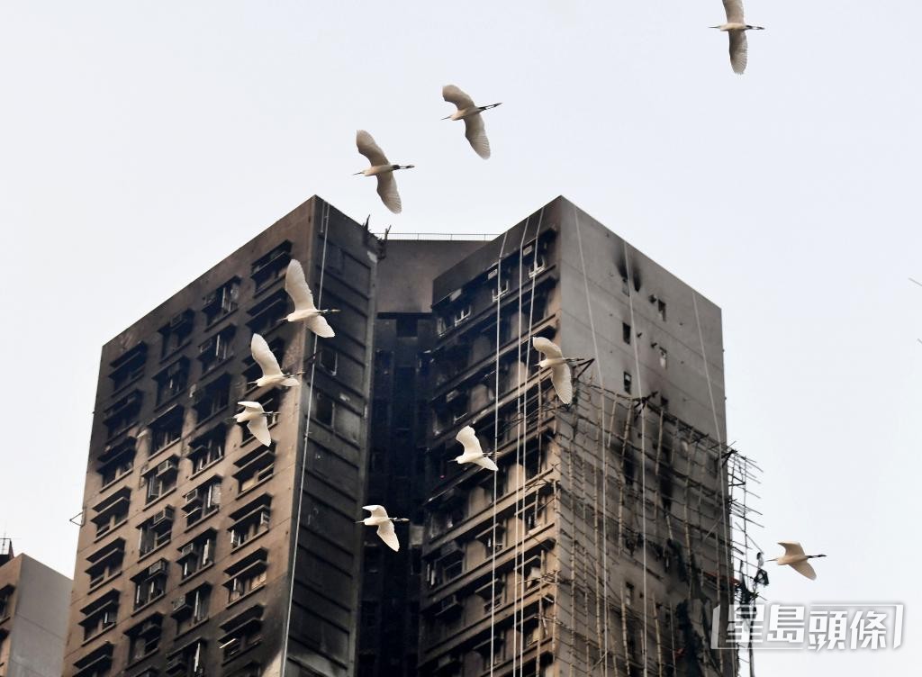 居民預期徒步上樓消耗體力，更憂慮舊地重遊的心理負荷超出預期。