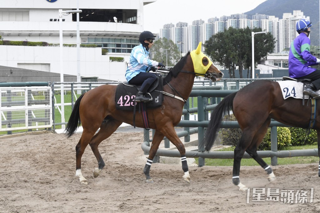  「瑶瑶日上」四蹄尽展弹力十足。